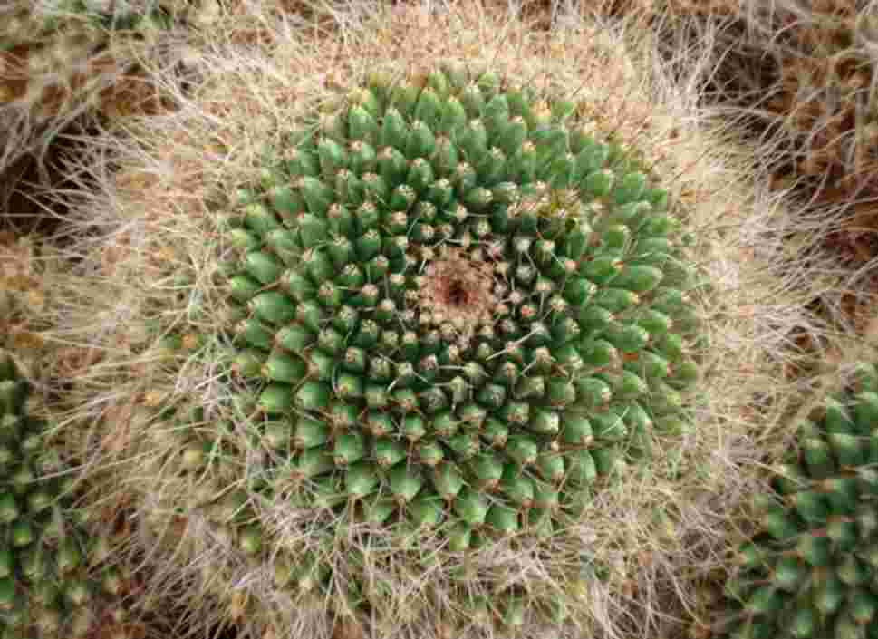 I am running a racket program. I need to make a