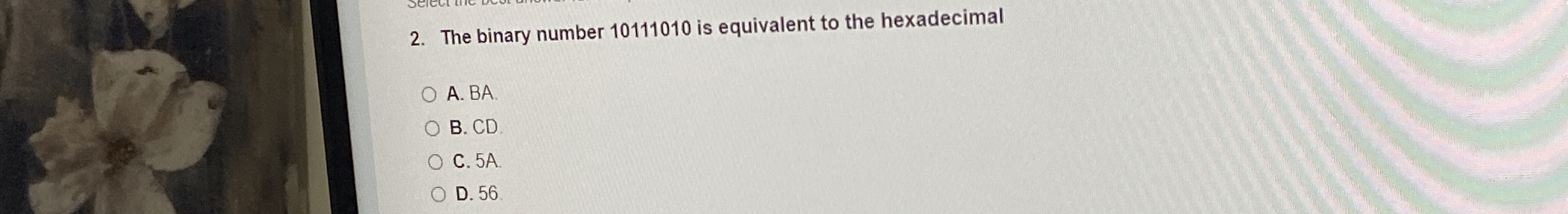 The binary number 1 0 1 1 1 0 1 0 is equivalent