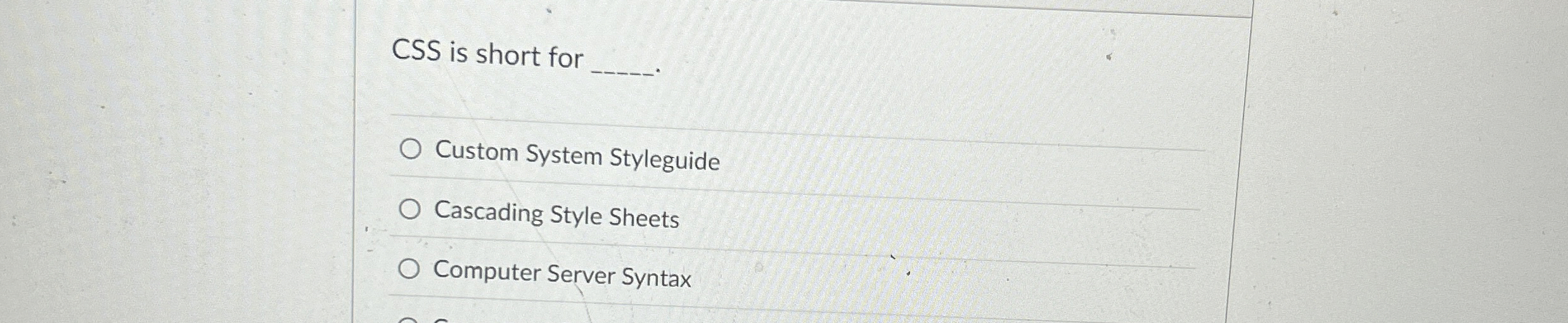CSS is short for . Custom System Styleguide