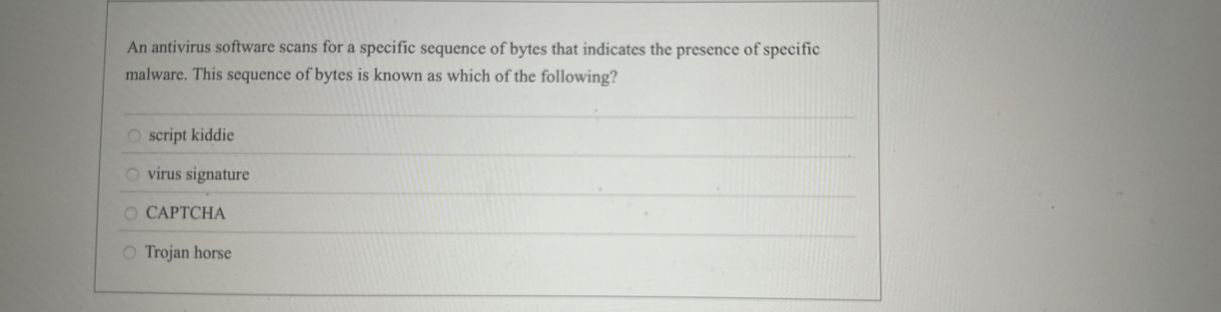 An antivirus software scans for a specific