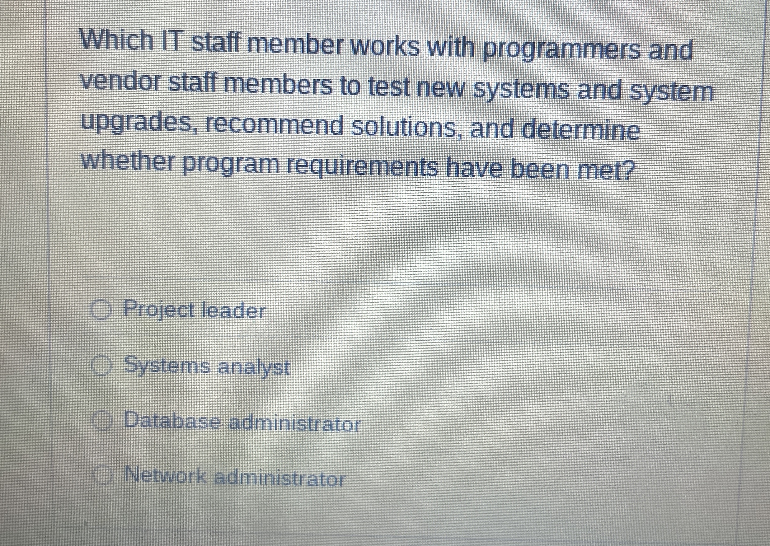 Which IT staff member works with programmers and