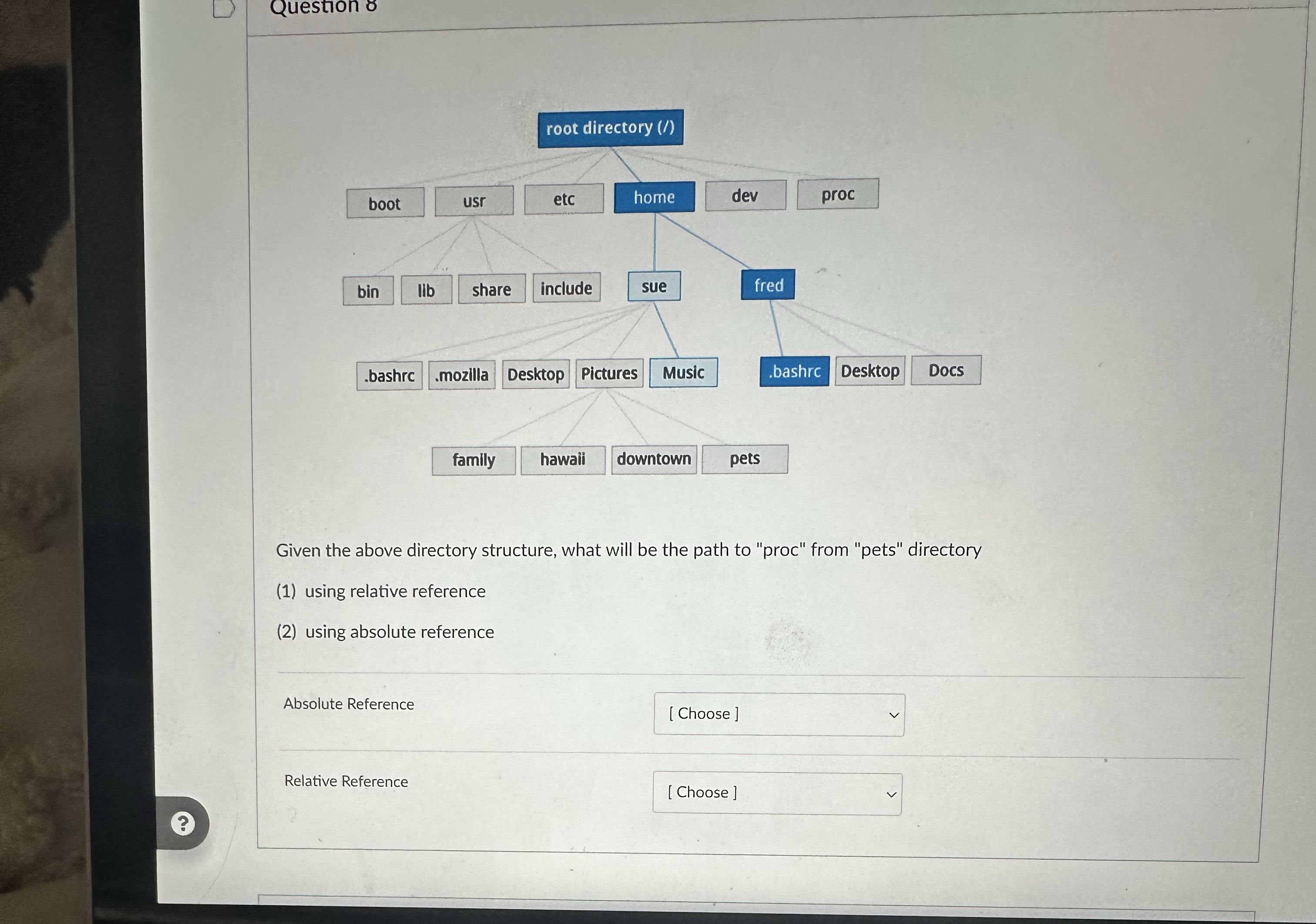 Question 8 family hawaii downtown pets Given the