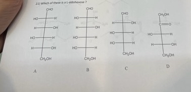 which of these in a L - aldoheape?