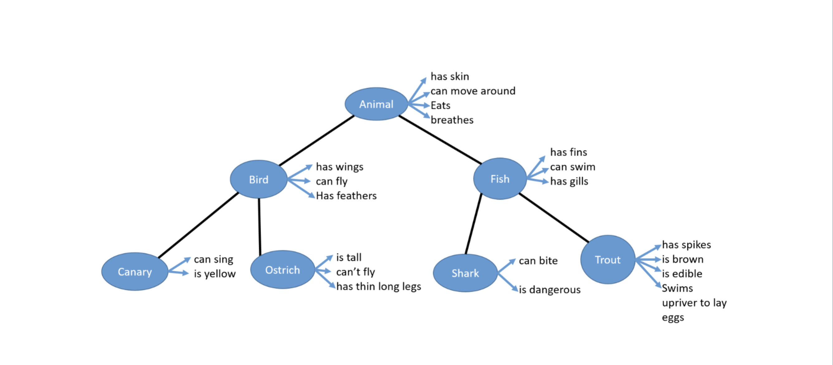 Part 1 : Implement the full animal class