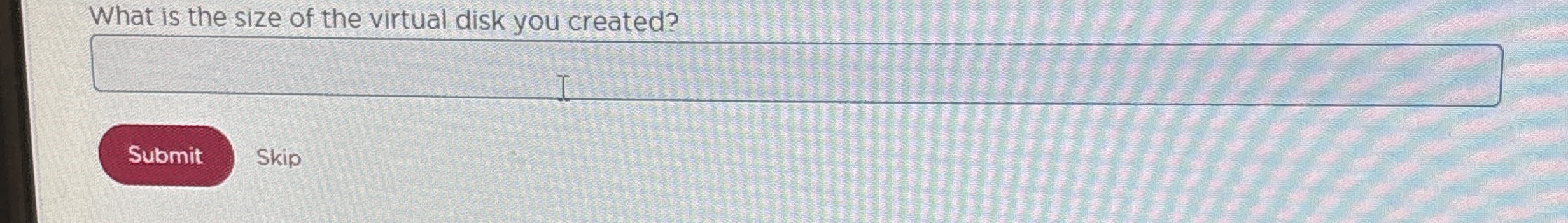 What is the size of the virtual disk you created?