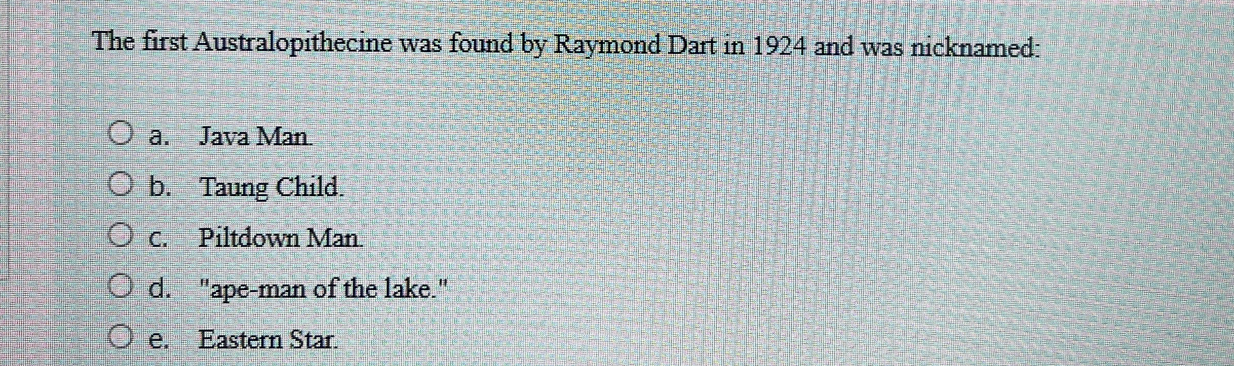 The first Australopithecine was found by Raymond