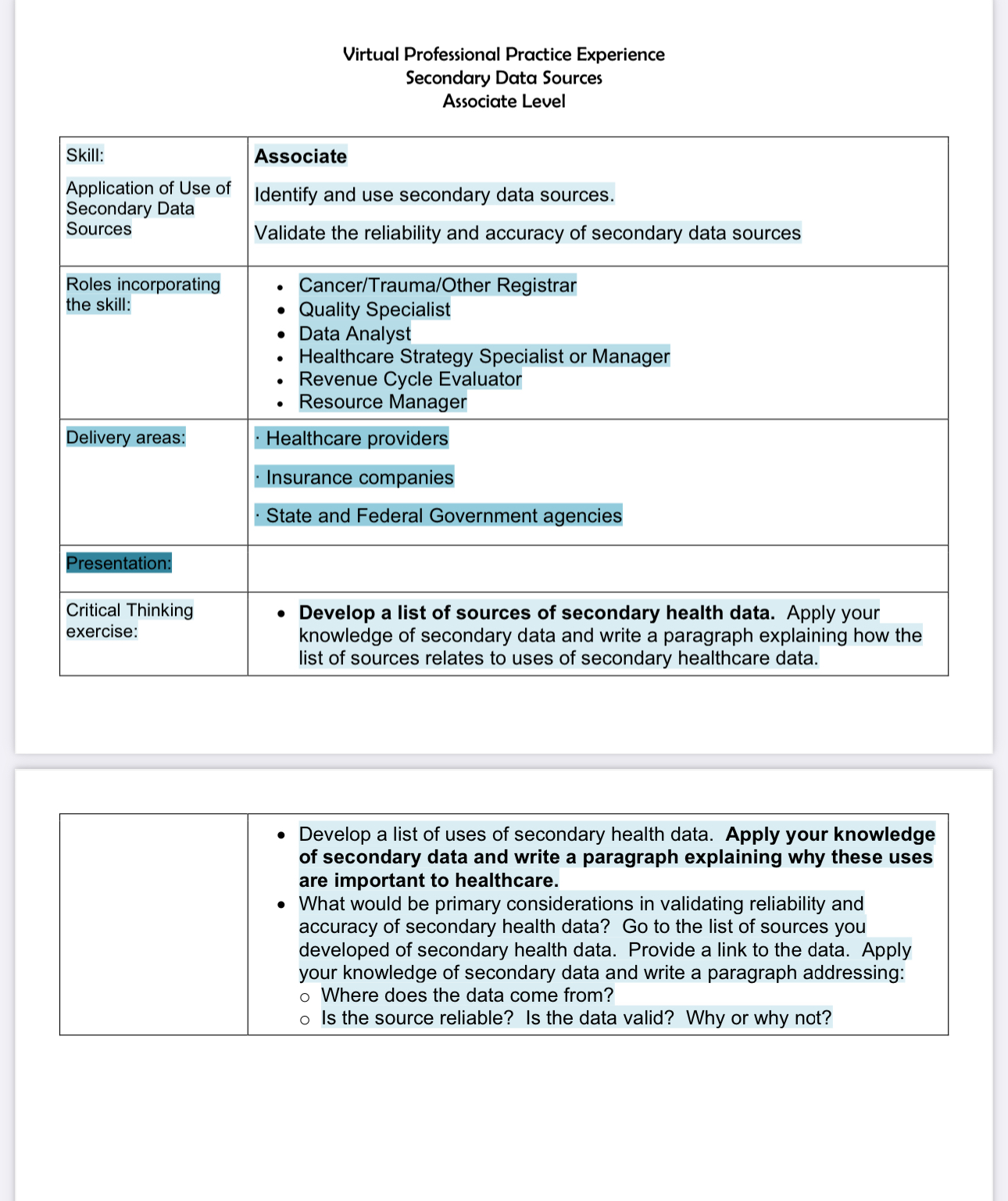 Virtual Professional Practice Experience