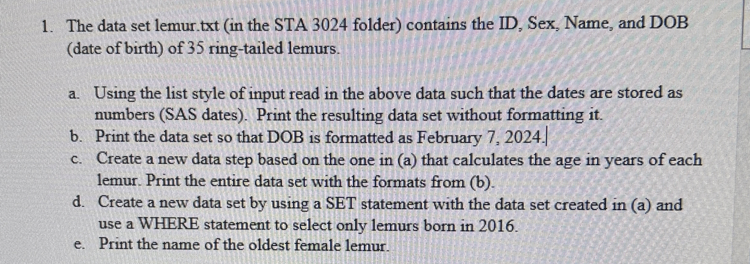 The data set lemur.txt ( in the STA 3 0 2 4