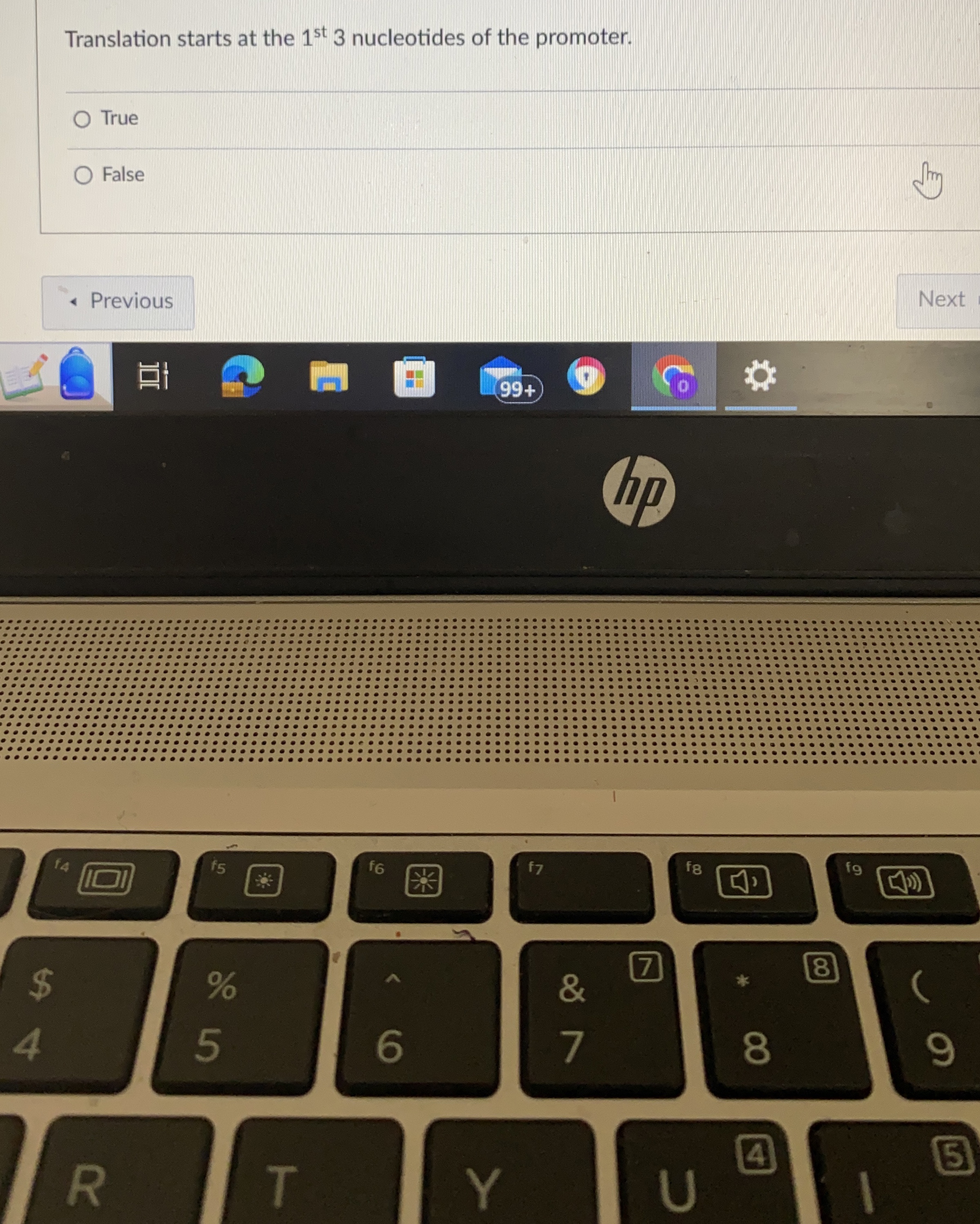 Translation starts at the 1 s t 3 nucleotides of