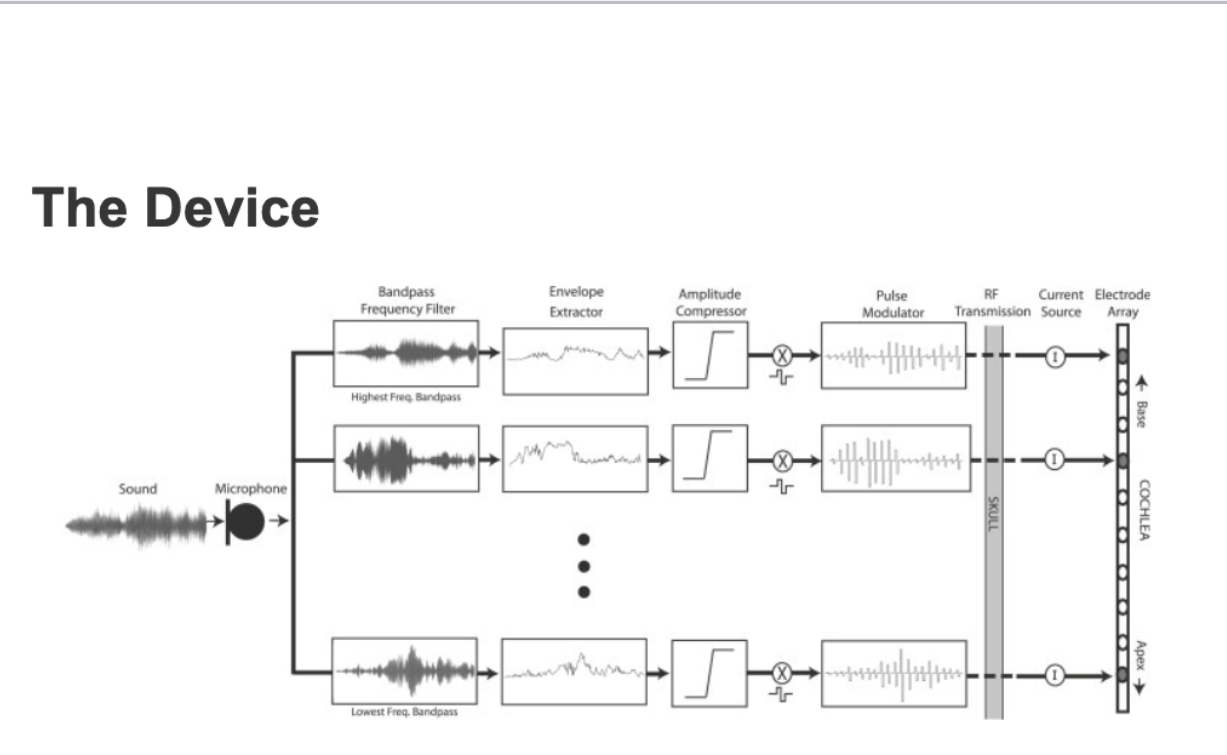 Please help with part e , creating a flow chart