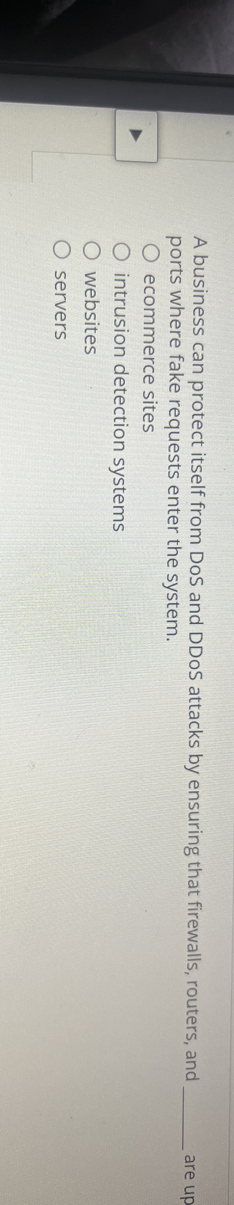 A business can protect itself from DoS and DDoS