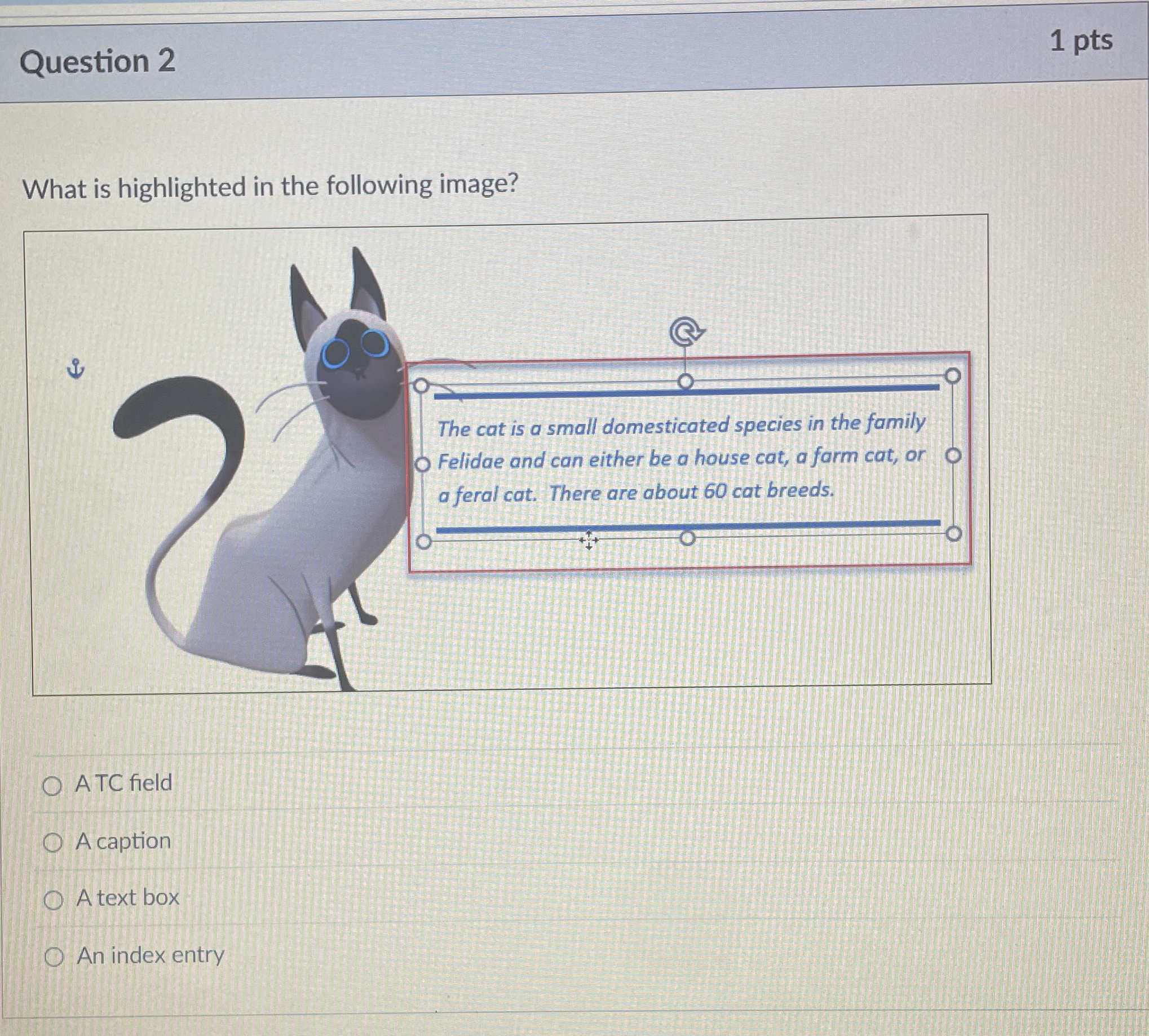 Question 2 What is highlighted in the following