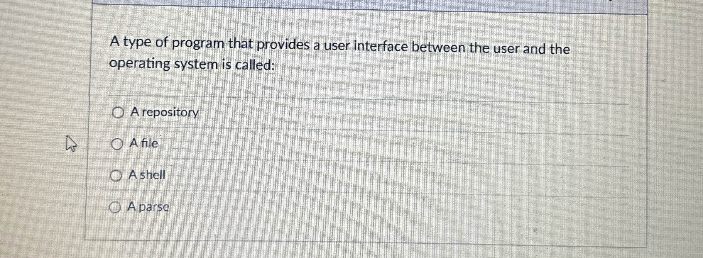 A type of program that provides a user interface