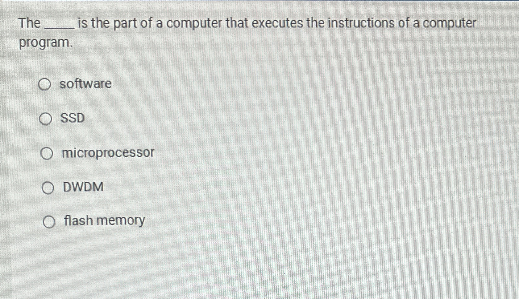 The is the part of a computer that executes the