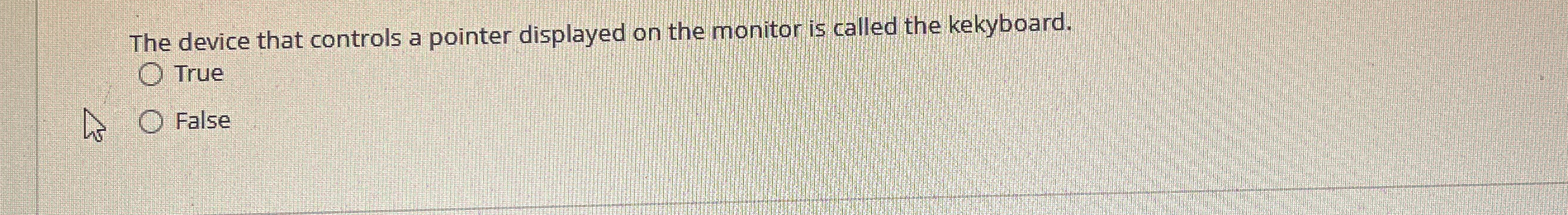 The device that controls a pointer displayed on