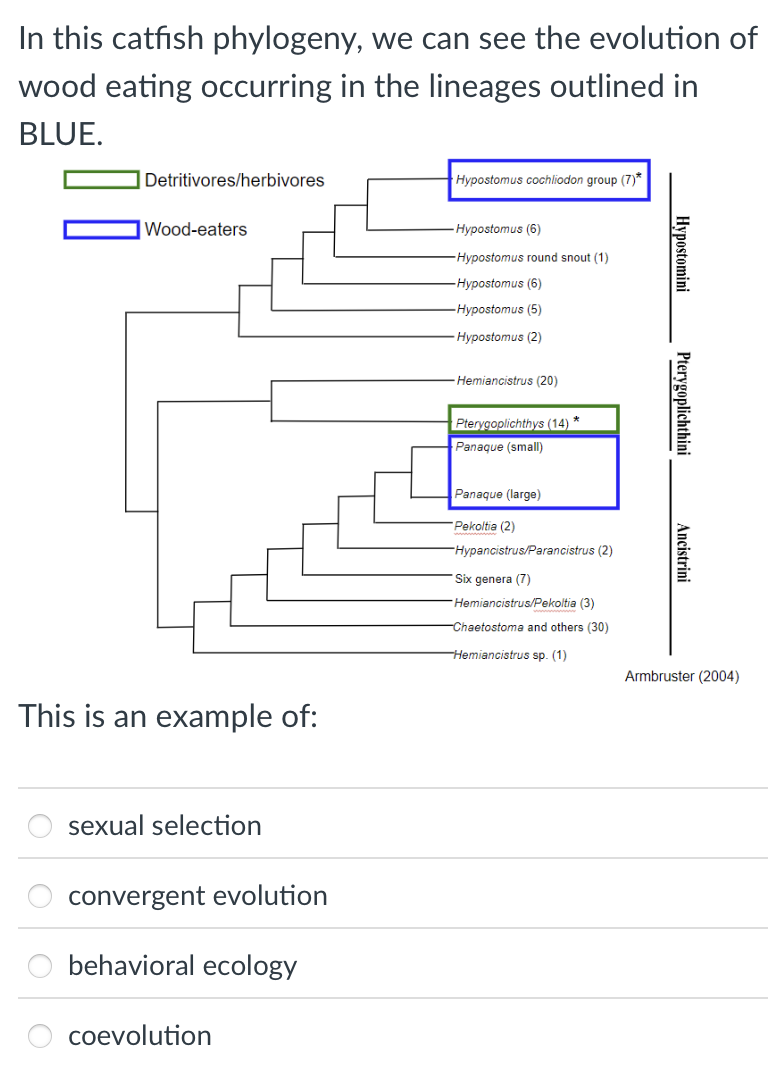This is an example of: sexual selection