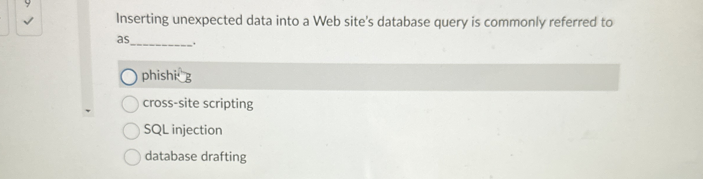 Inserting unexpected data into a Web site's