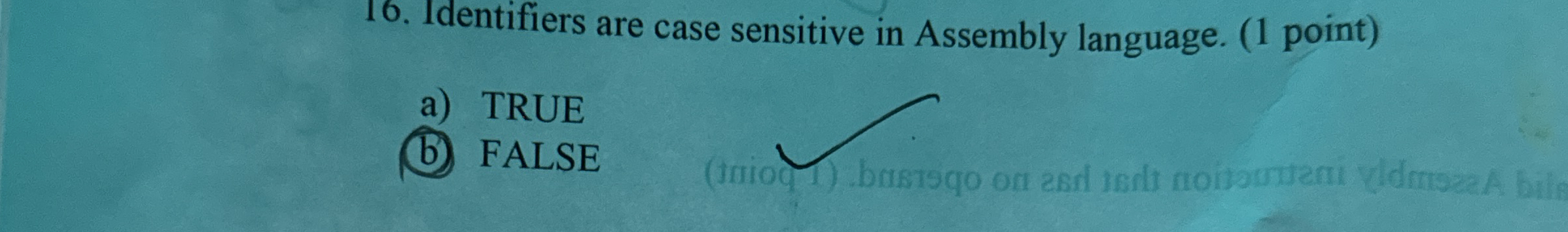 Identifiers are case sensitive in Assembly