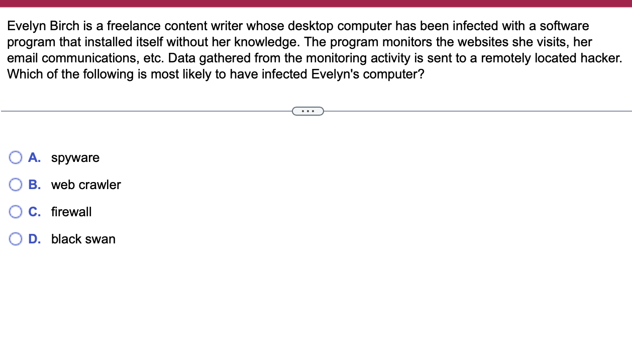 Evelyn Birch is a freelance content writer whose