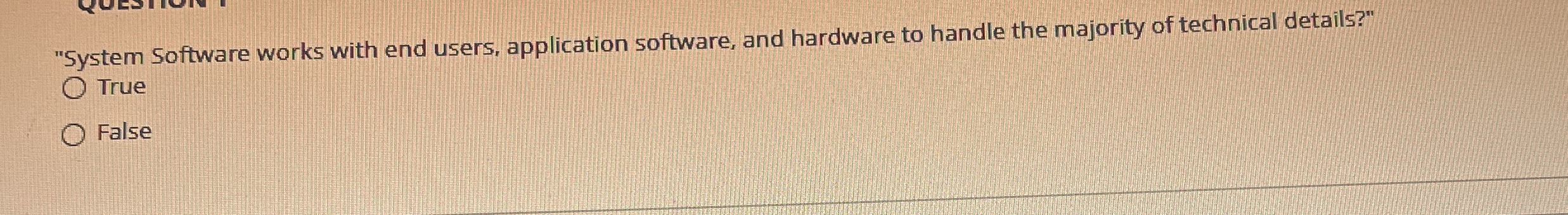 "System Software works with end users,