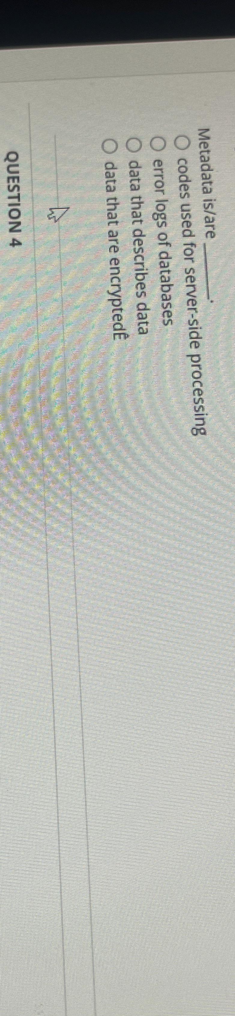 Metadata is / are codes used for sever - side