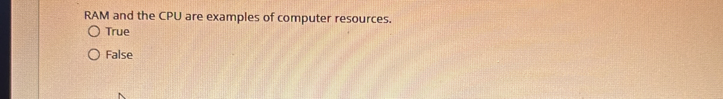 RAM and the CPU are examples of computer