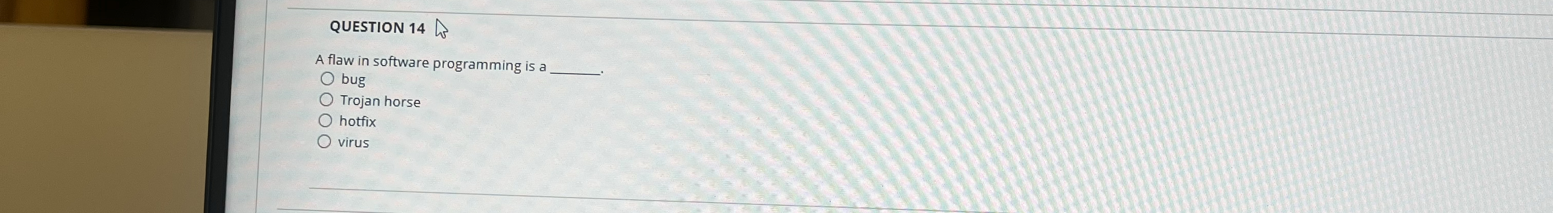 QUESTION 1 4 A flaw in software programming is a