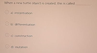 When a new turtle object is created, this is