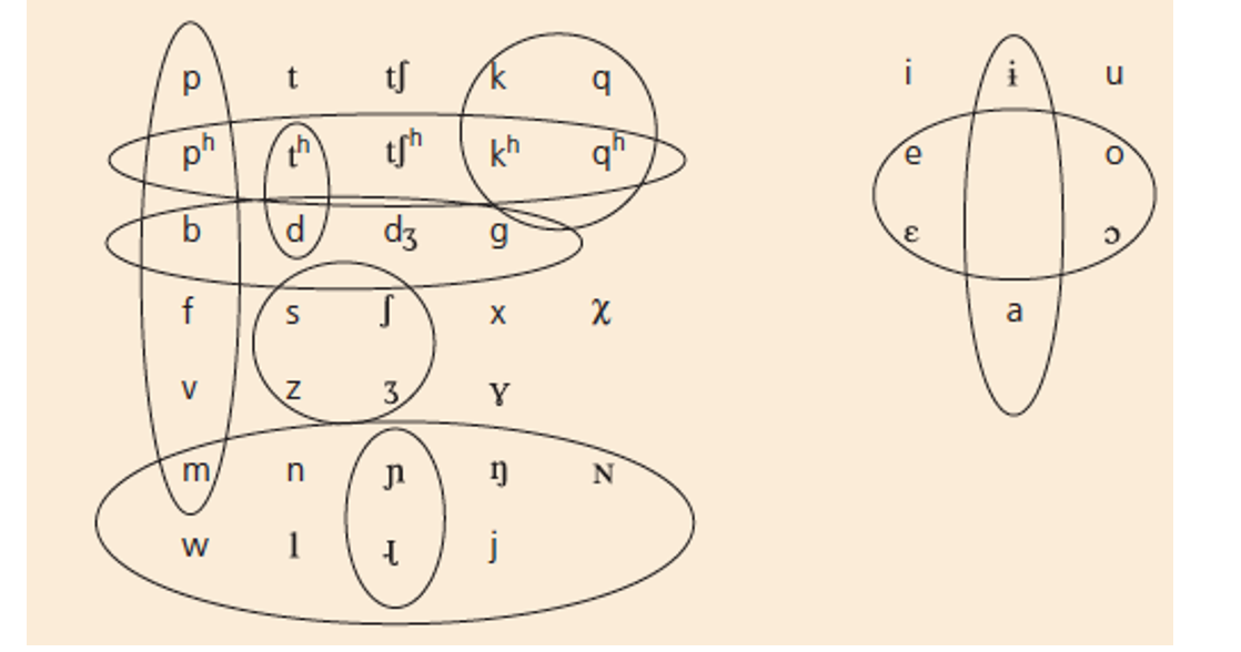 Describe each class in terms of distinctive