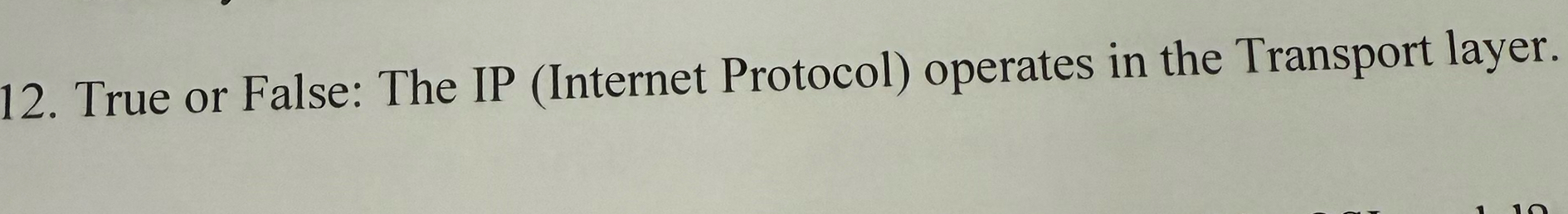 True or False: The IP ( Internet Protocol )