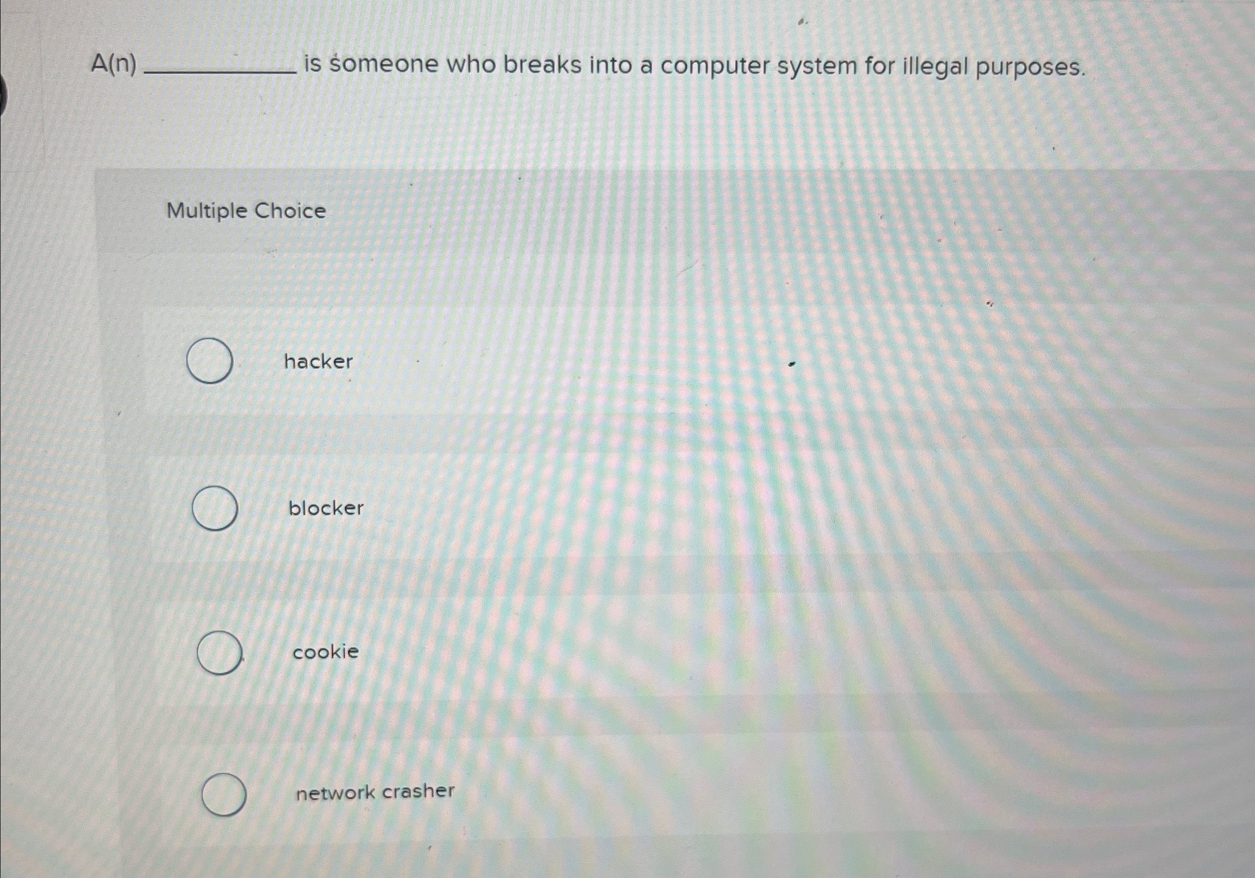A ( n ) is someone who breaks into a computer