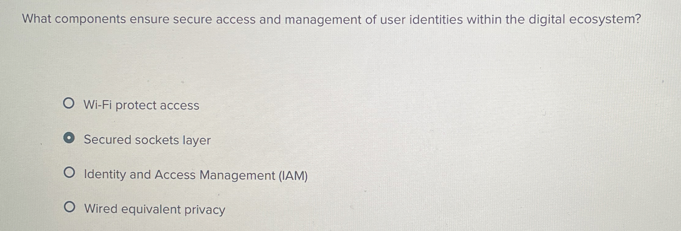 What components ensure secure access and