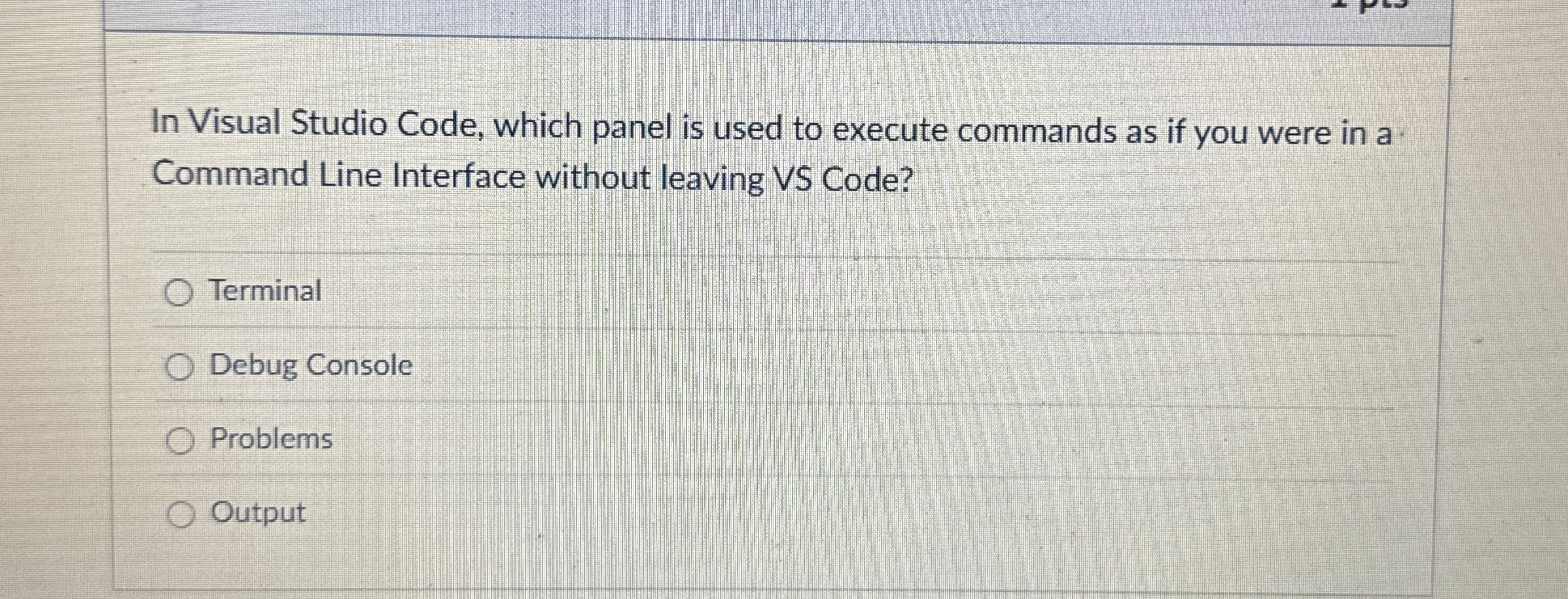 In Visual Studio Code, which panel is used to