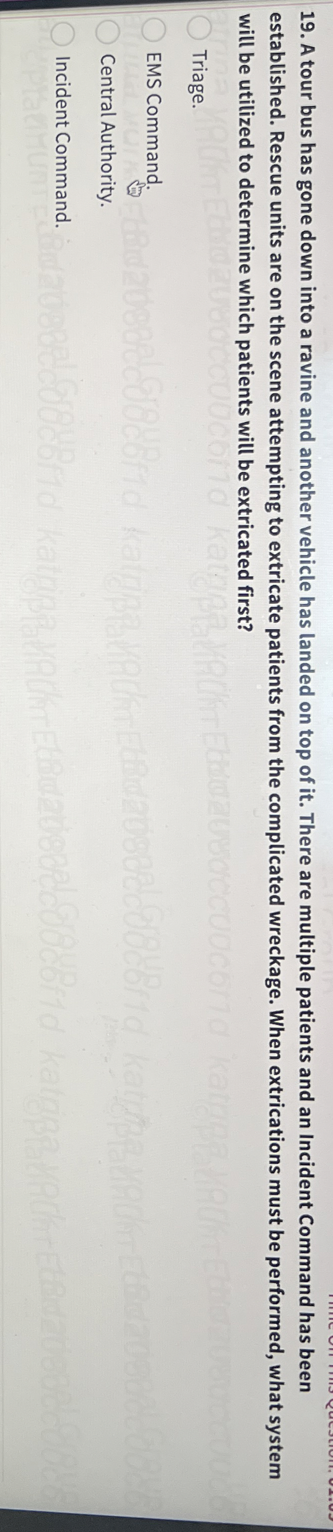 A tour bus has gone down into a ravine and