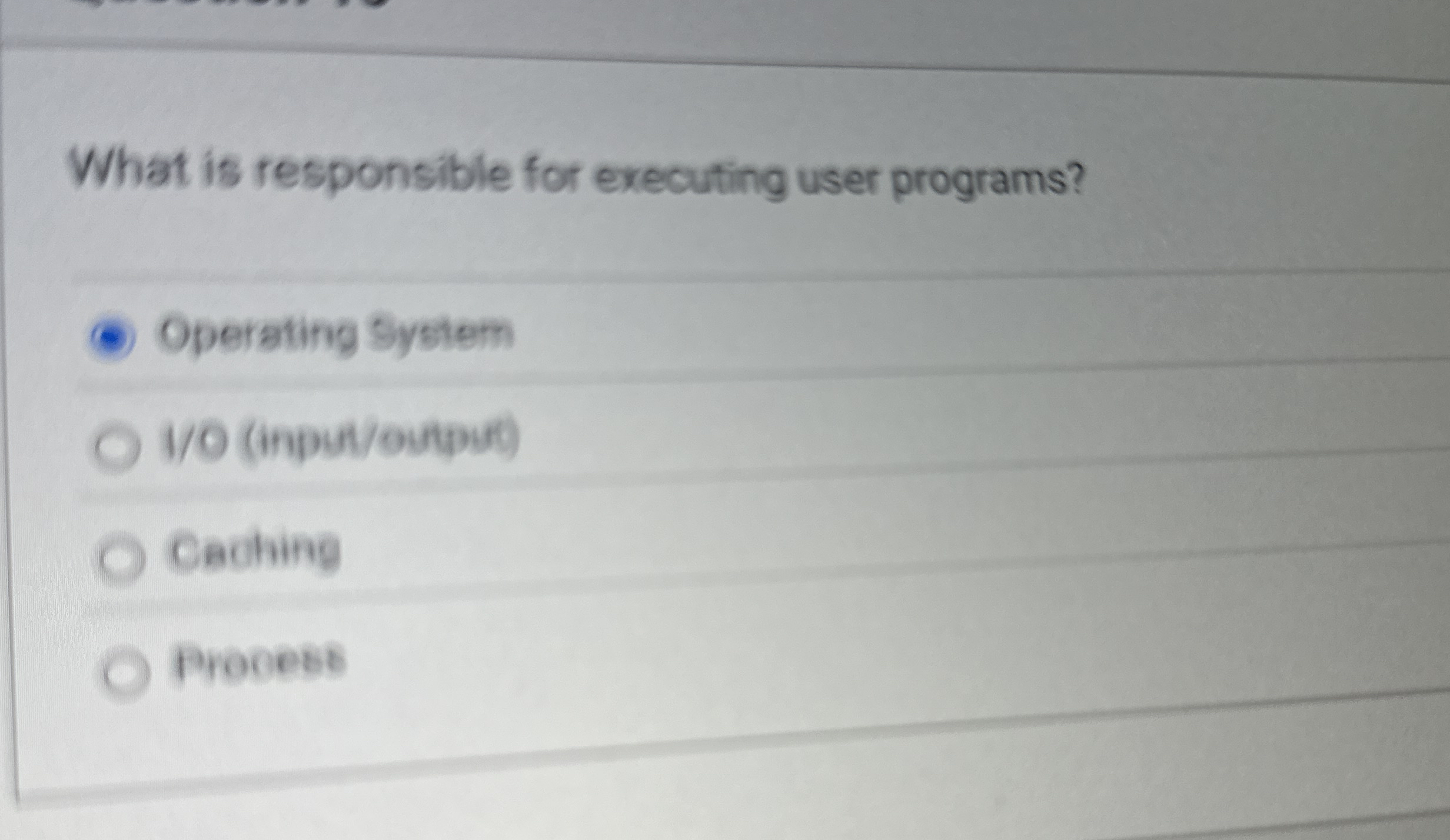 What is responsible for executing user programs?