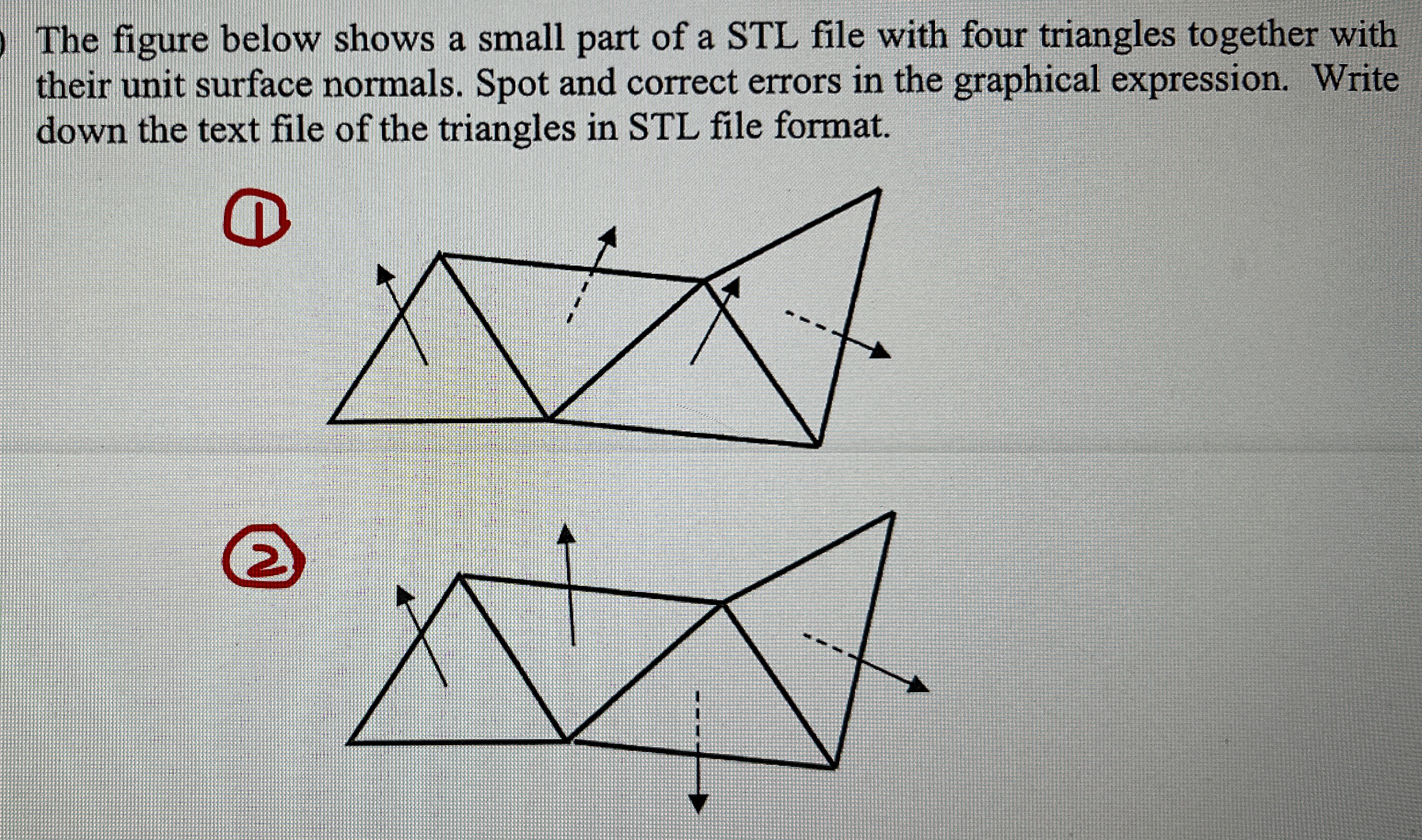 The figure below shows a small part of a STL file