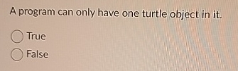 A program can only have one turtle object in it .