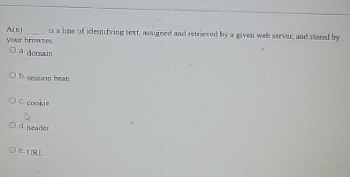 A ( n ) is a line of ideatifying text, assigned