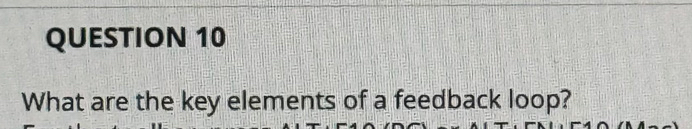 What are the key elements of a feedback loop?