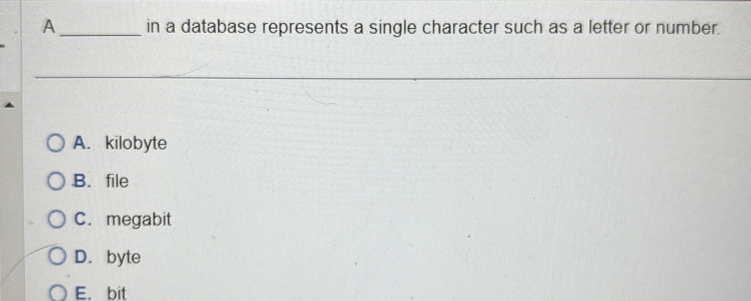 A in a database represents a single character