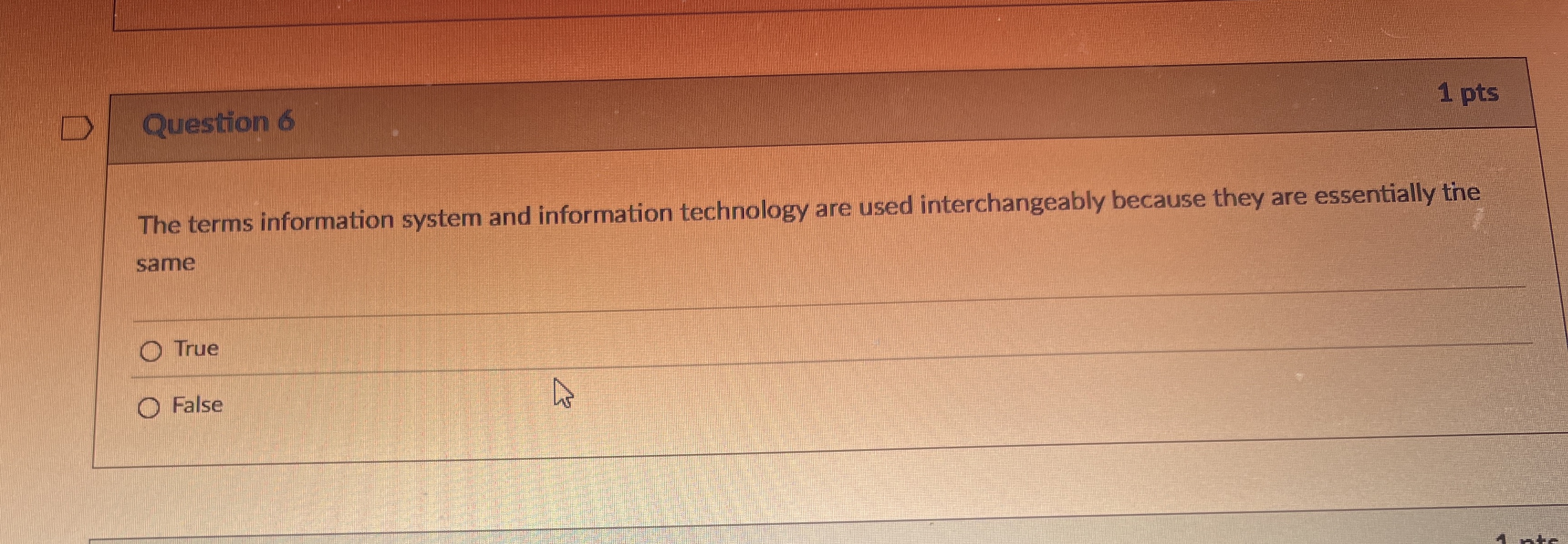 Question 6 1 pts The terms information system and