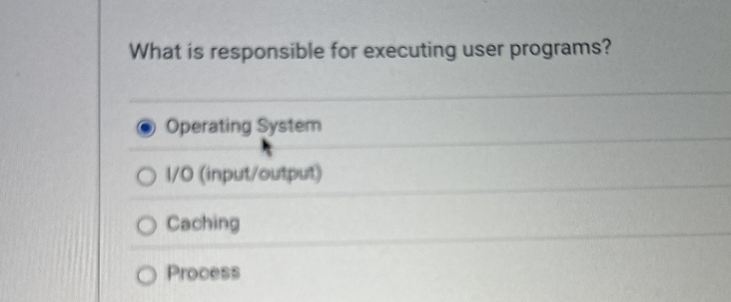 What is responsible for executing user programs?