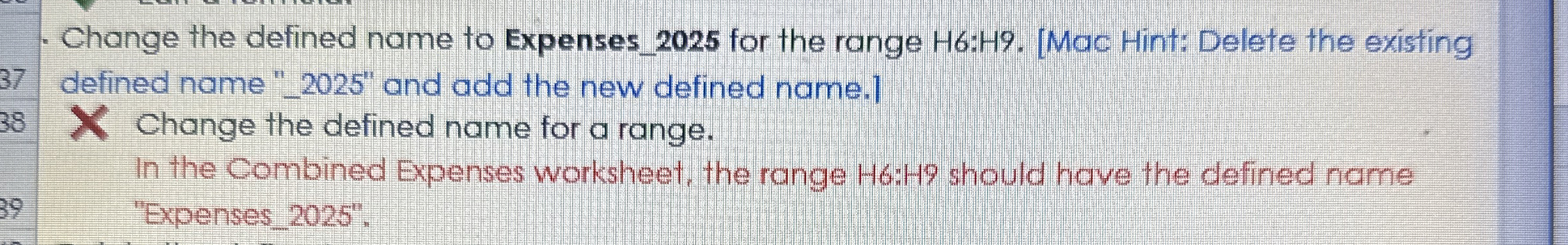 Change the defined name to Expenses _ 2 0 2 5 for