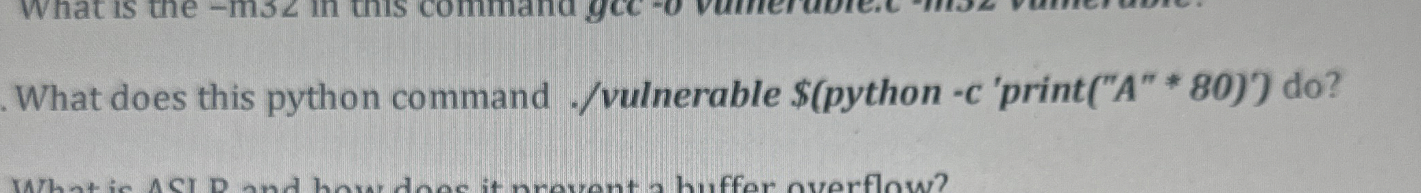 What does this python command . / vulnerable