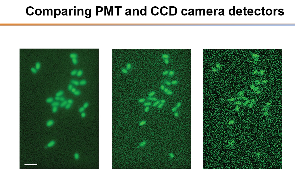 Comparing PMT and CCD camera detectors