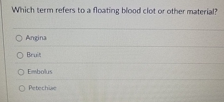 Which term refers to a floating blood clot or