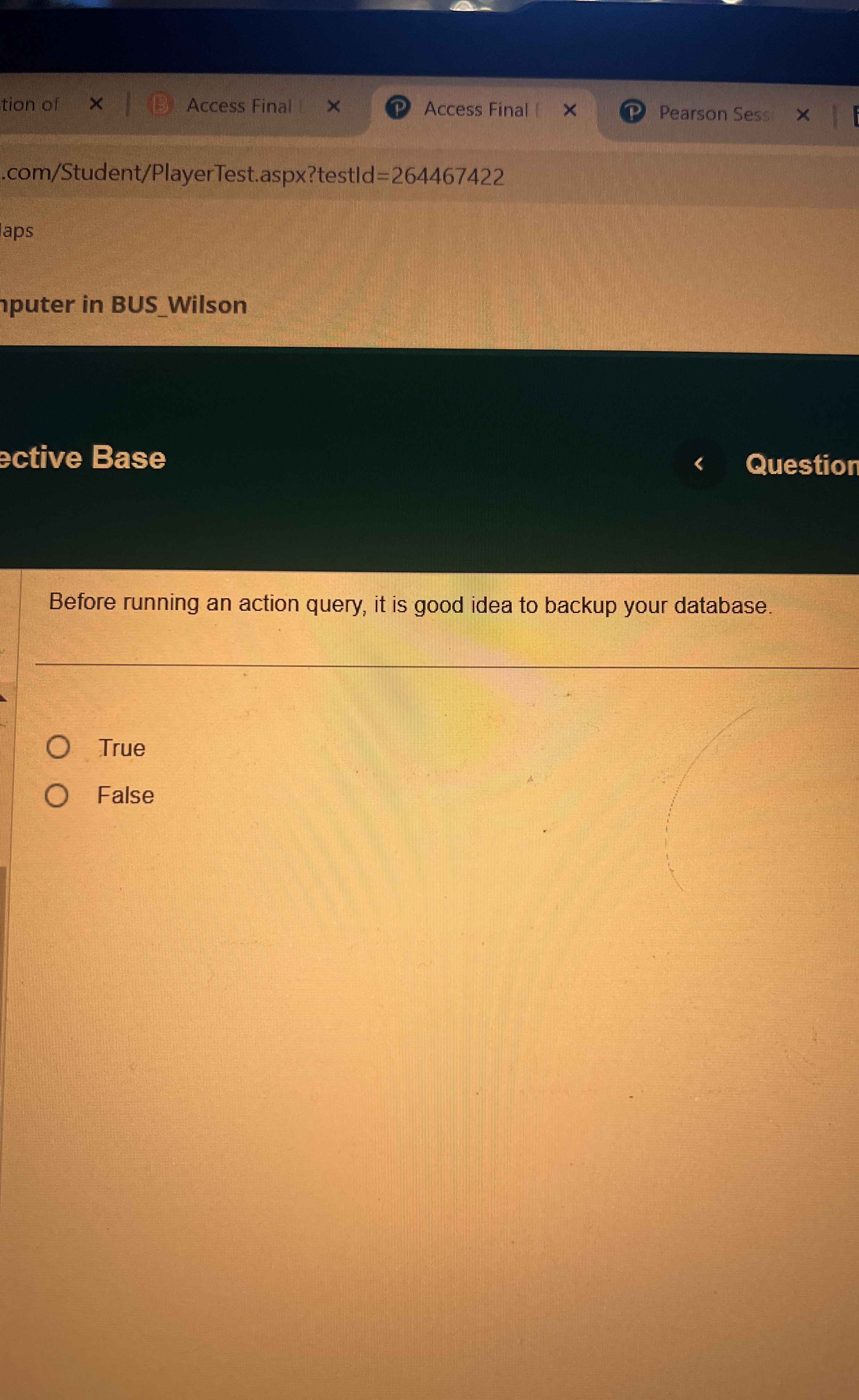 Before running an action query, it is a good idea
