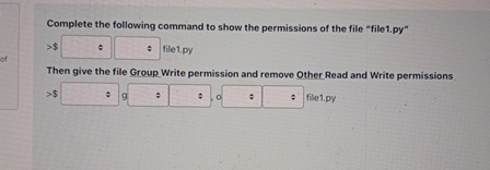 Complete the following command to show the
