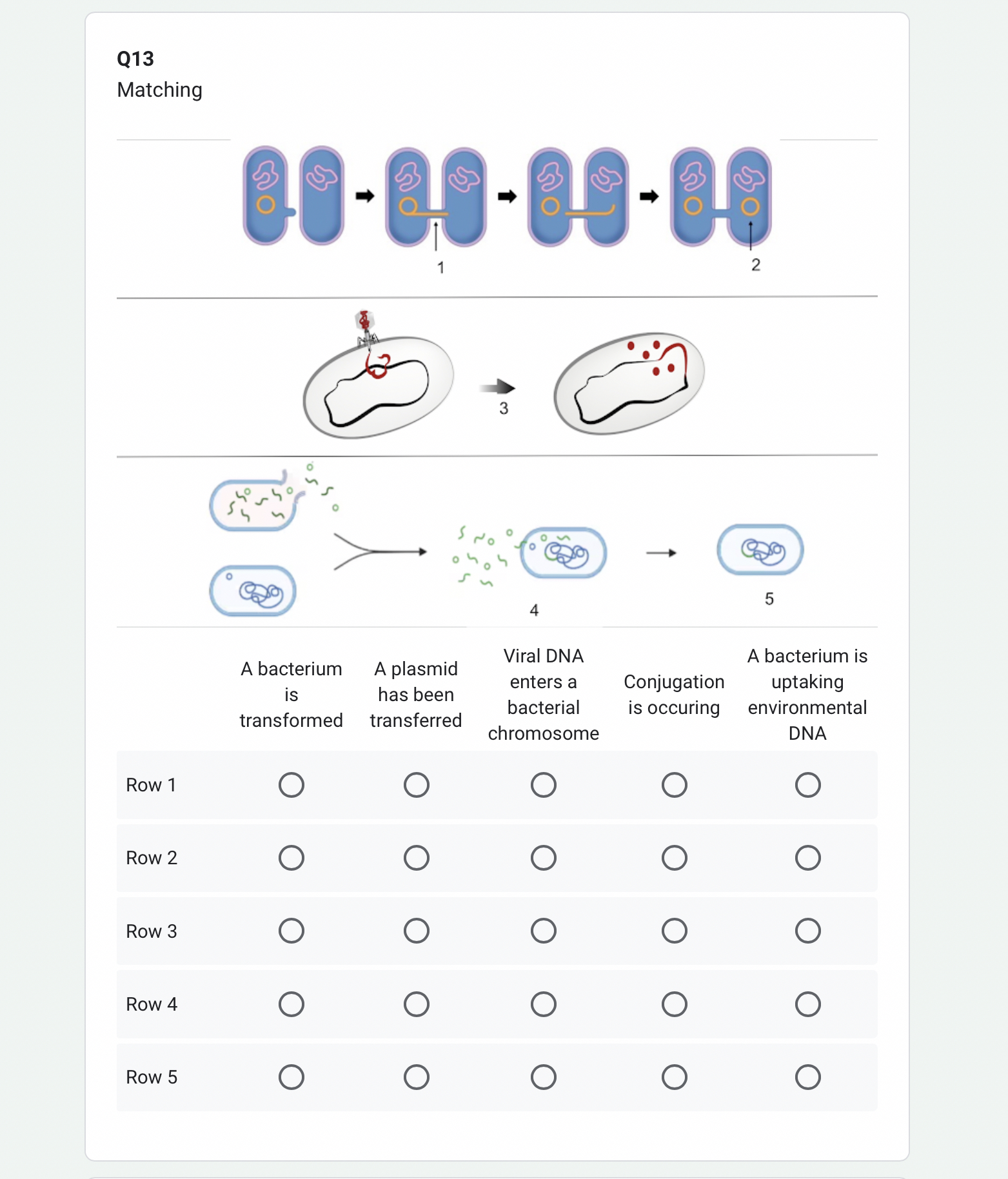 Q 1 3 Matching Row 1