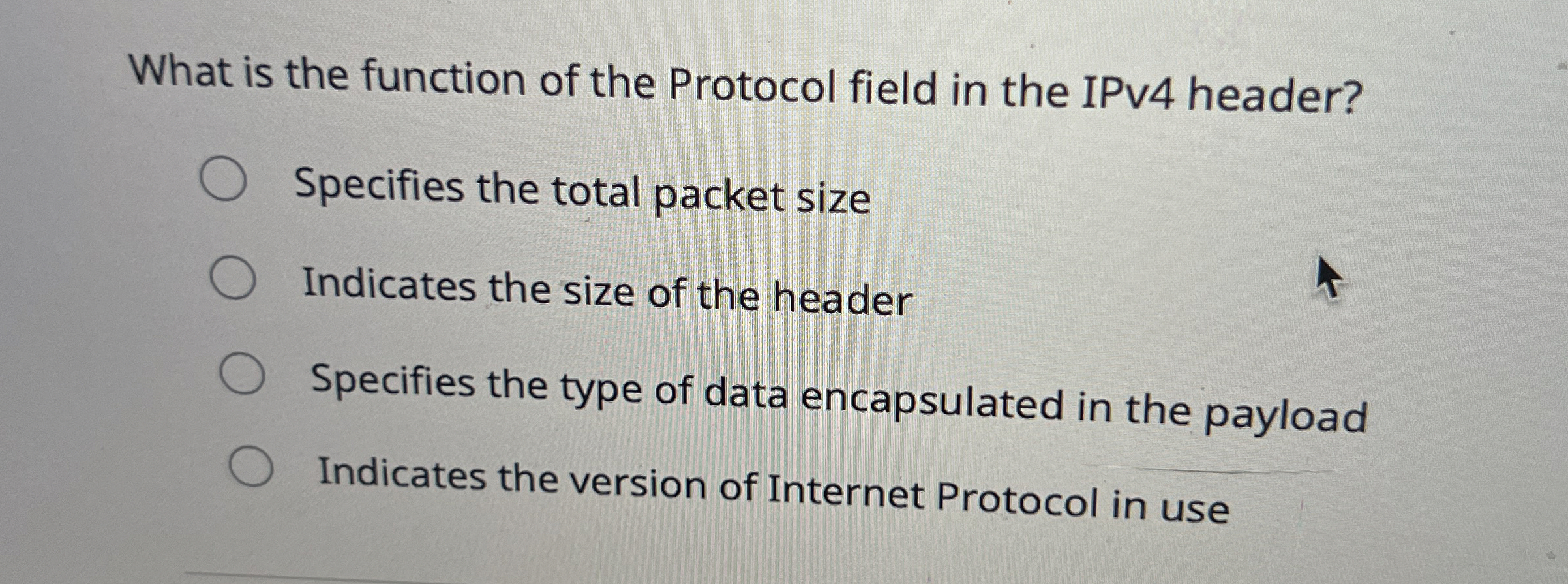 What is the function of the Protocol field in the